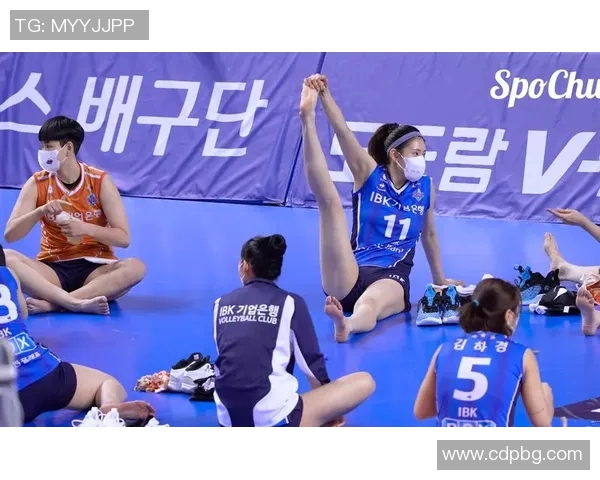 2012年女排精彩对决韩国队的激烈比赛回顾与精彩瞬间分析 2012年女排精彩对决韩国队的激烈比赛回顾与精彩瞬间分析