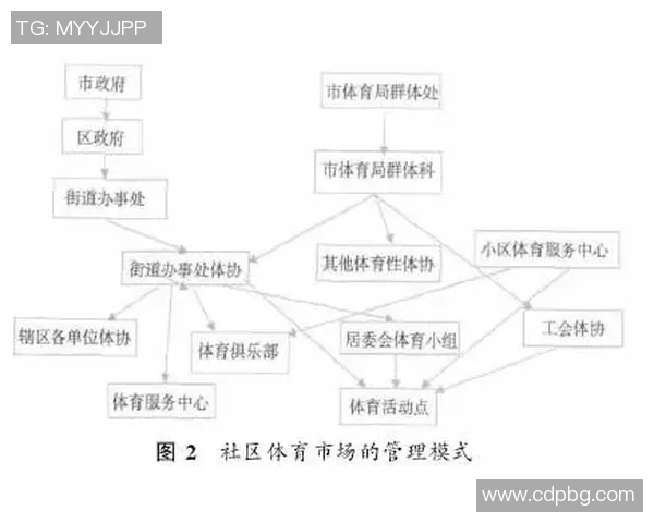 法国体育与中国体育的对比分析及未来发展趋势探讨